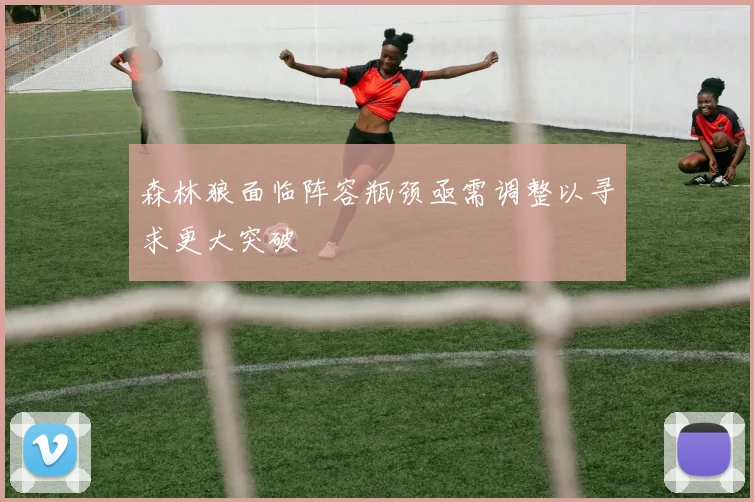 森林狼面临阵容瓶颈亟需调整以寻求更大突破