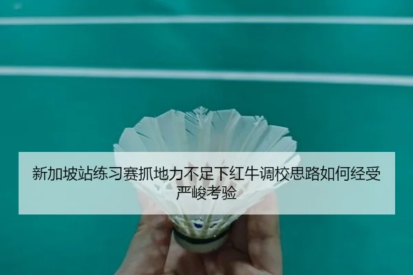 新加坡站练习赛抓地力不足下红牛调校思路如何经受严峻考验